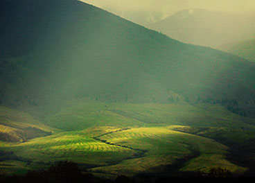 一手货源批发的ip攻击器网页版ddos