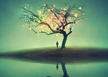 在线DDOS平台攻击